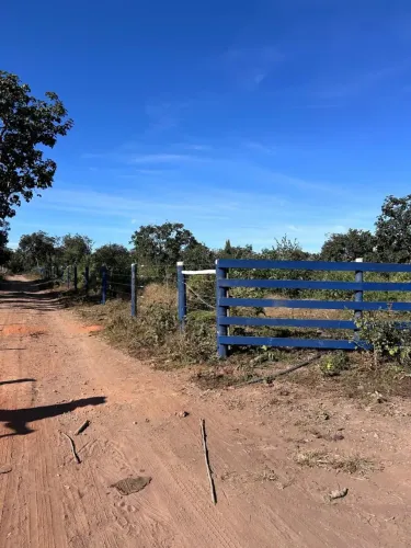 Terreno de 40 mil metros em Alberto Isaacson - Martinho Campos - MG