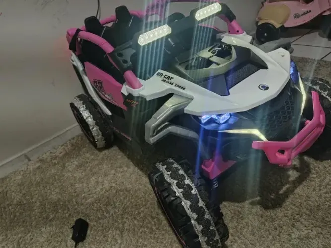 Carrinho Elétrico suporta até 50 kg