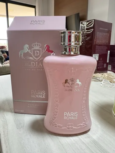 Perfume árabe novo inspiração do delina 