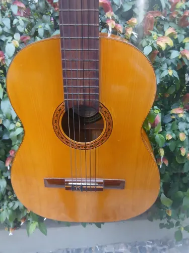 VIOLÃO DI GIORGIO 28 de 1989,Vintage.Tem marcas ,porém cordas baixas, som bom..400 z.sul