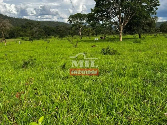 Fazenda 132 Alqueires (638,9 hectares) Minaçu - GO