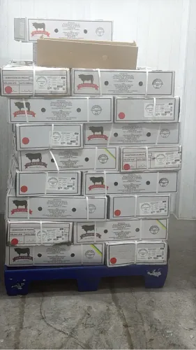Vaga acogueiro