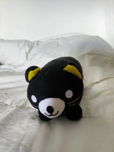 Almofada Gato preto