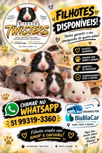 Rato twister