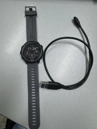 Garmin 245