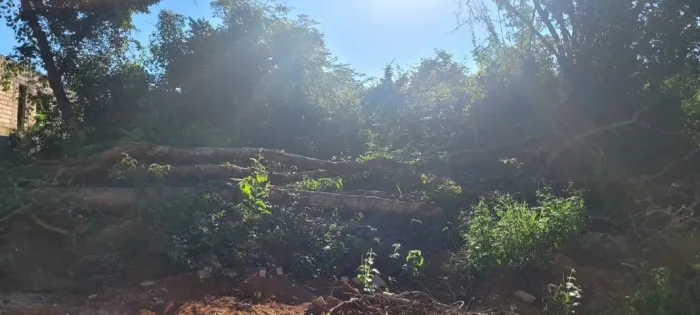 Terreno em Contagem 1.000m2