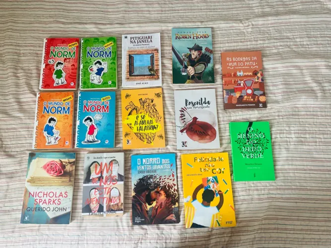 Livros em ótimas condições