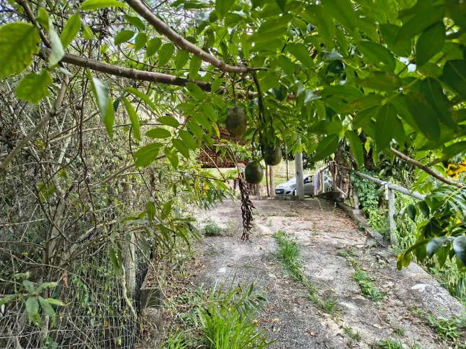 Sítio em Taquaraçu/roças novas mg