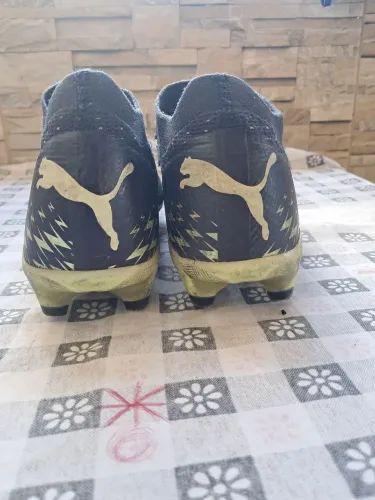 Puma
