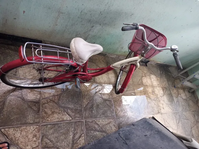 Bicicleta