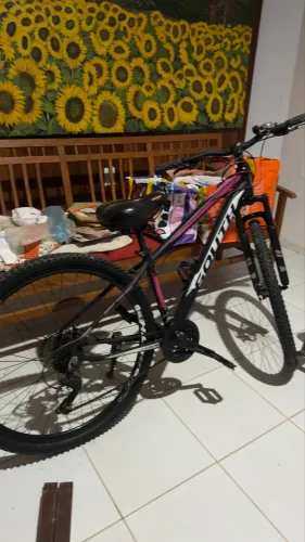 Bicicleta de marcha