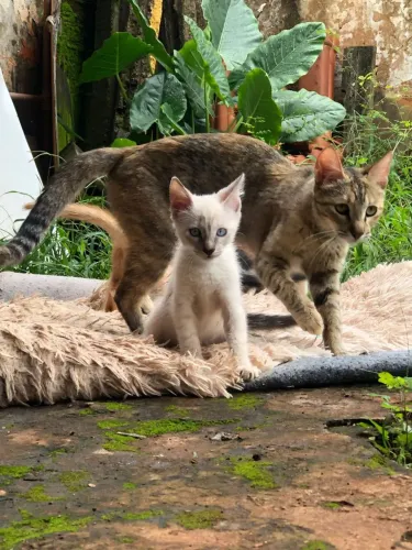 DOAÇÃO!!!