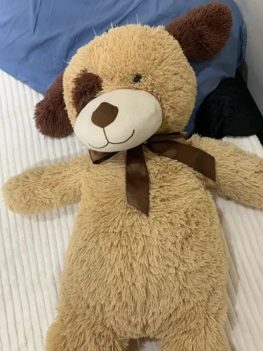 Urso Grande