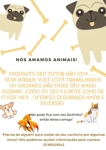 pet sitter