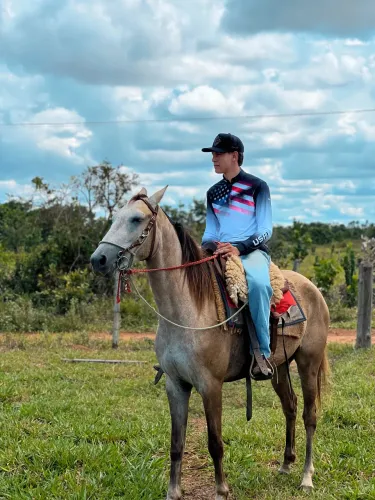 Cavalo manso 