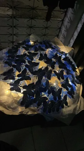 Buquê de borboletas 
