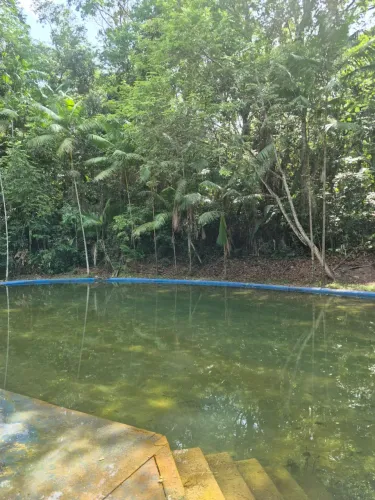 Imóvel para venda possui 8500 metros quadrados com 3 quartos em Centro - São Francisco do 