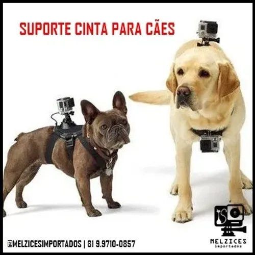 Peitoral Para Cães de pequenos / médio e grande porte