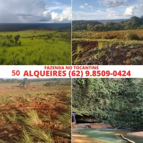 Fazenda Chacara Sitio Cidade Porto Nacional Estado Tocantins 20 Alqueires Plantação e Gado