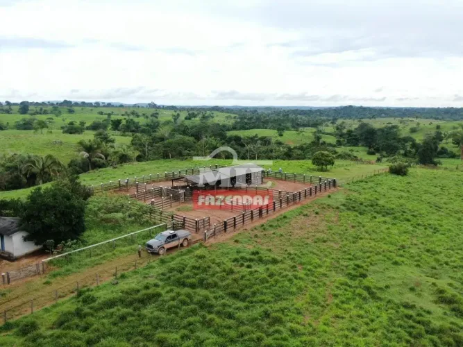 FAZENDA 400 ALQUEIRES (1.936 HECTARES) OURILÂNDIA DO NORTE - PA