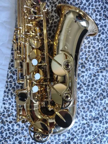 Sax Alto Yamaha YAS 480 novinho 