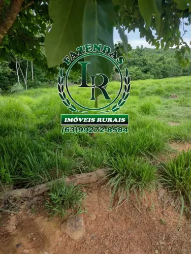 Fazenda/Chácara 7 Alqueires Próximo a Palmas