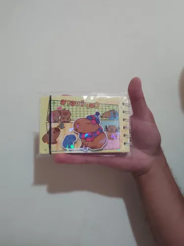 5 Mini livro de colorir capivara - Fofo e divertido!