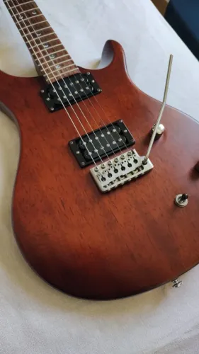 Guitarra PRS SE Standard