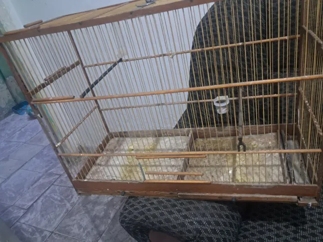 Vendo um voardo 80 Cm