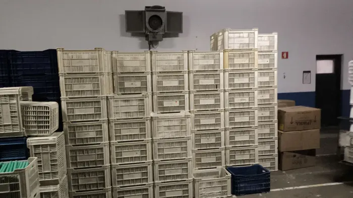 Caixa plástica 1300 unidades