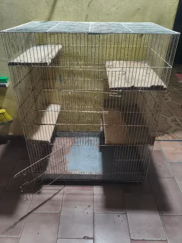 Gaiola chinchila e roedores