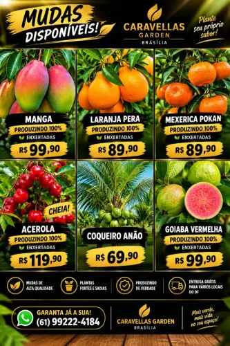 FRUTÍFERAS Produzindo 100% Enxertadas