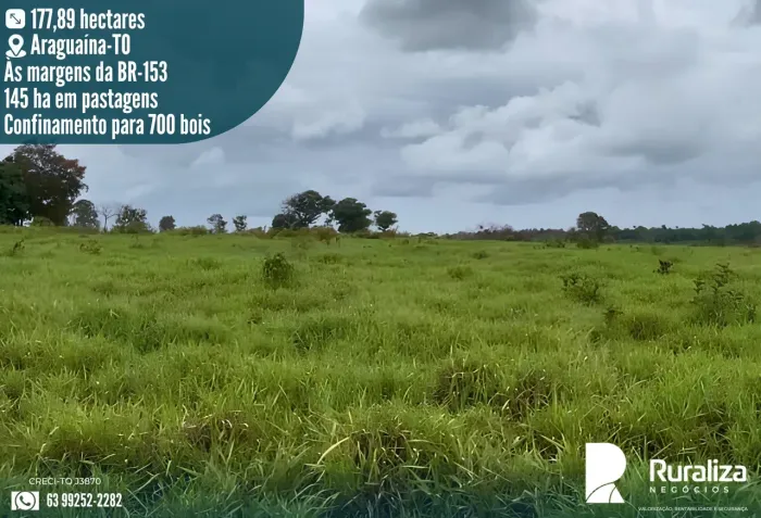 36 ALQUEIRES | 145 HA FORMADOS | CONFINAMENTO | 25 KM DE ARAGUAÍNA
