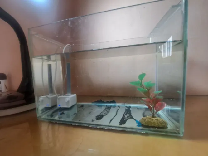 Aquário para peixe