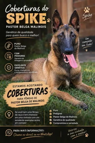 Cobertura de cachorro