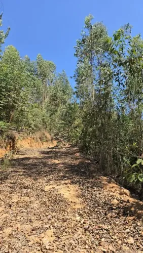 SITIOS Se você busca tranquilidade, vista permanente de montanha e uma região valorizando