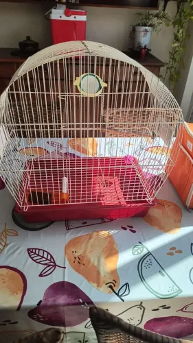 Gaiola média + Bolsa de transporte + Gaiola Pequena