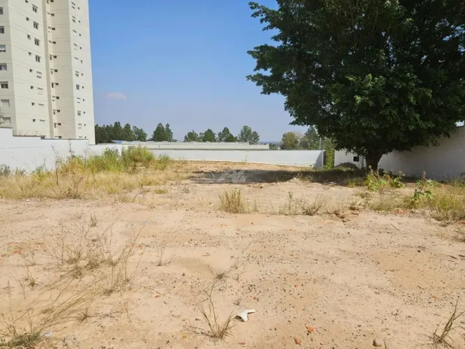 terreno - Loteamento Alphaville Campinas - Campinas