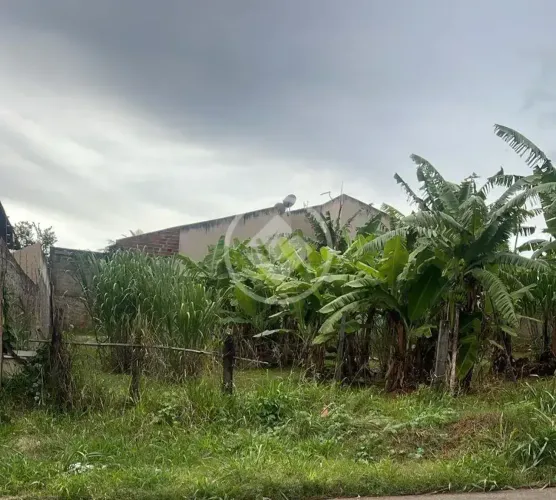 LOTE BAIRRO HILDA codigo: 283273