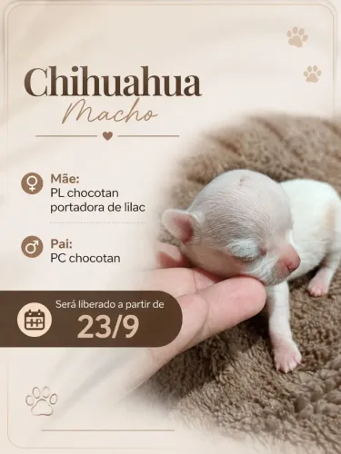 Menino pra reservar 