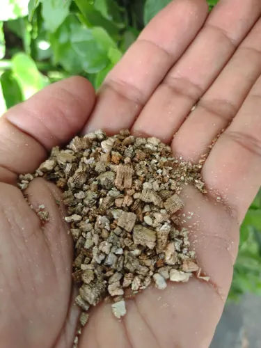 Vermiculita