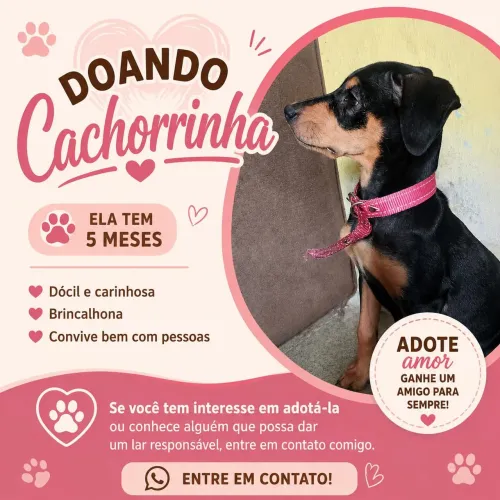 Doação 
