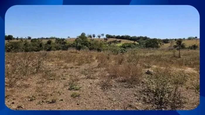 GLEBA DE TERRAS - Área de 3 hectares (30.000m²), desmembrada do Engenho Nova Esperança, Km