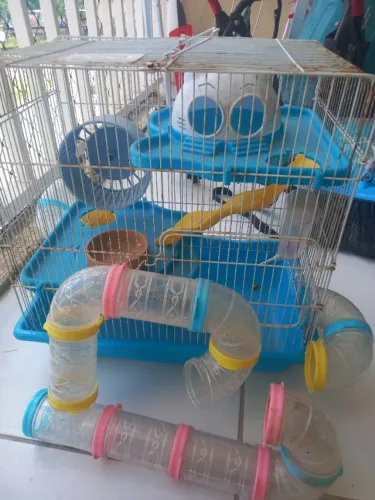 4 Gaiolas Hamster + Vários acessórios