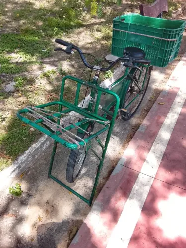Bicicleta cargueira 