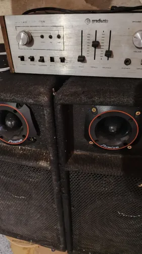 Vendo duas caixas fone de 15 polegadas bem conservado