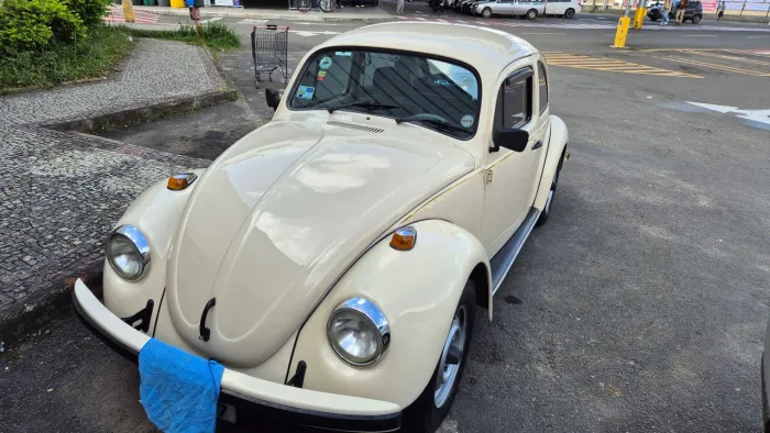Volkswagen Fusca (álcool) 1996