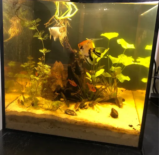 Aquário Cubo Completo 