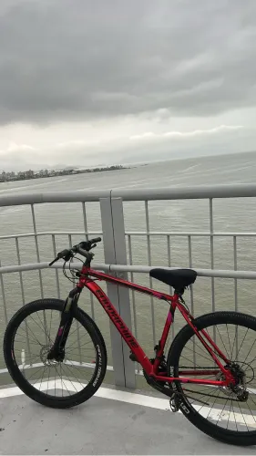 Bicicleta Mountain Bike Endorphine Aro 29 - Usada