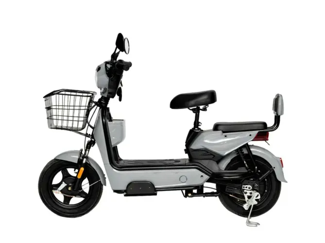 Bicicleta Elétrica